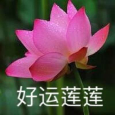 新春走基层｜宁夏：乡村“网红”大集年味浓